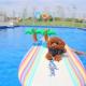 Dog　pool　village富津海岸